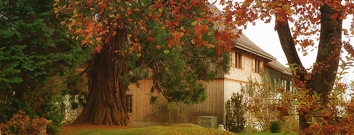 Kulturschüür Liebegg